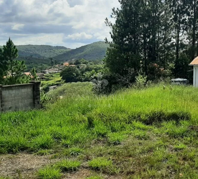 Imóvel 5979