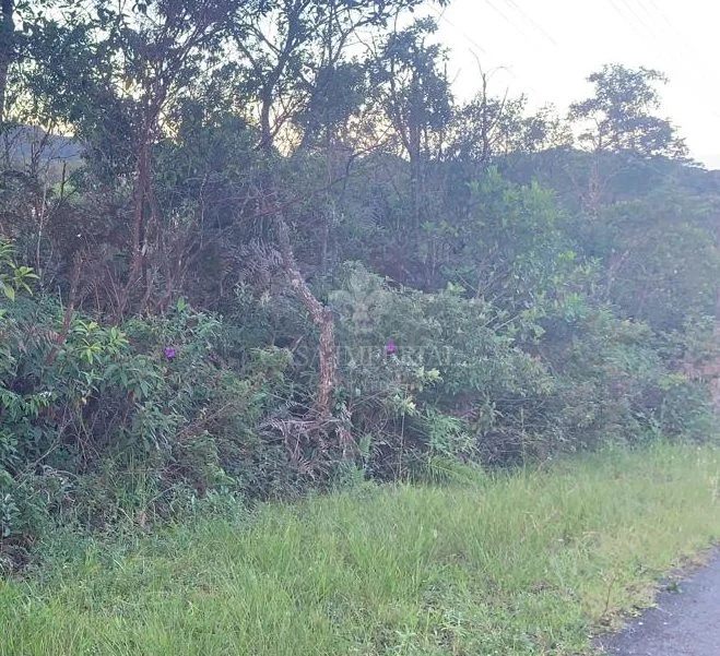 Imóvel 9530