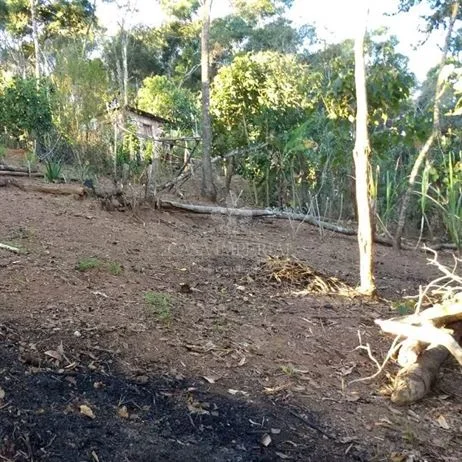 Imóvel 9545