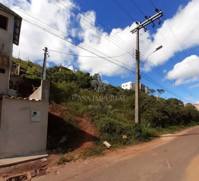 Imóvel 12295