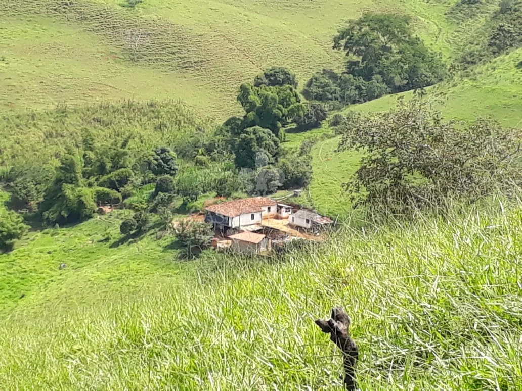Imóvel 12786