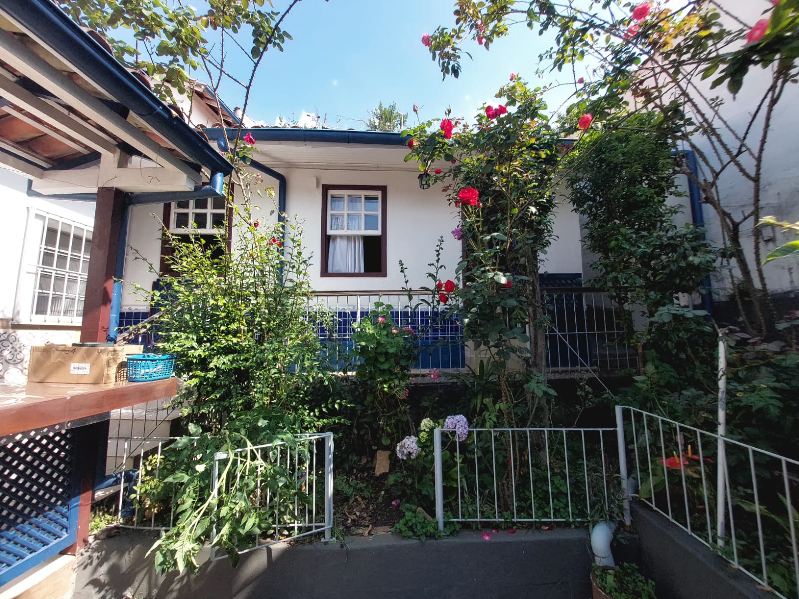 WhatsApp Image 2025-10-20 at 15.03.14