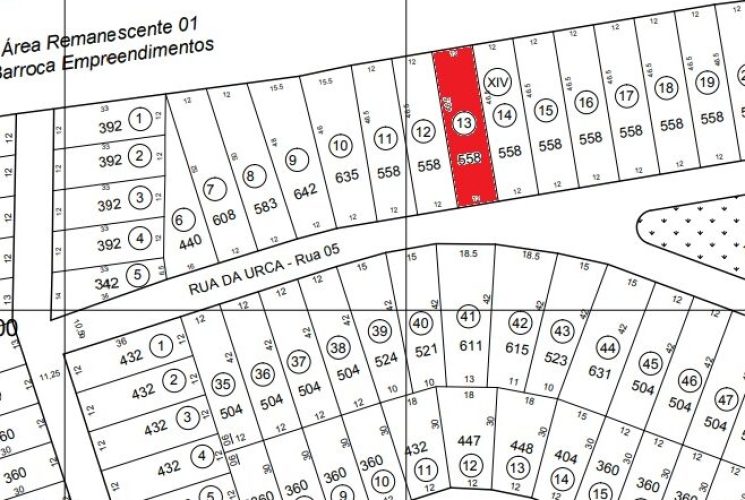 lote-13-e1672058002401